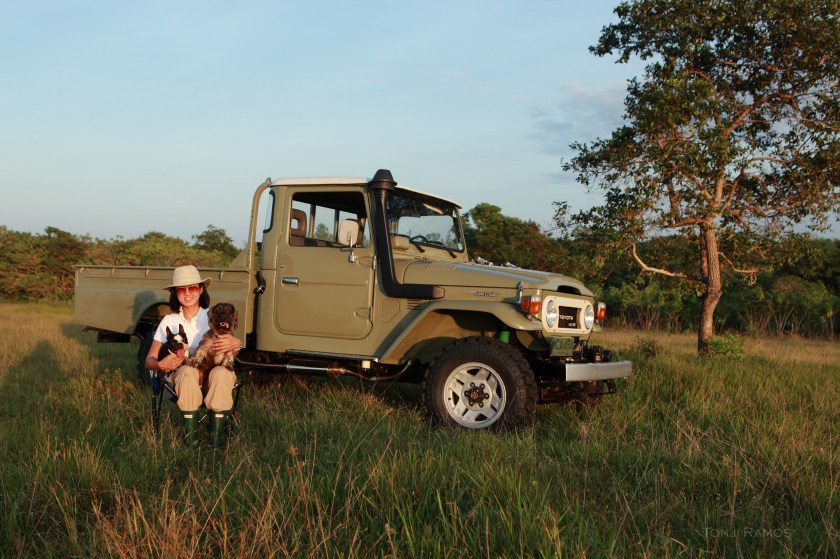 It's no longer yellow!