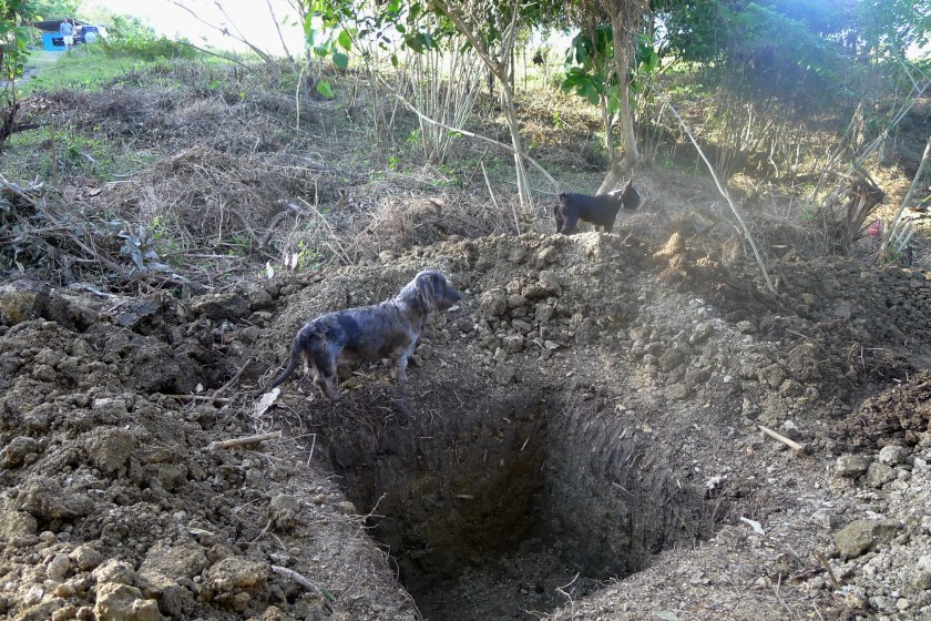 With Momo and Barkley for scale