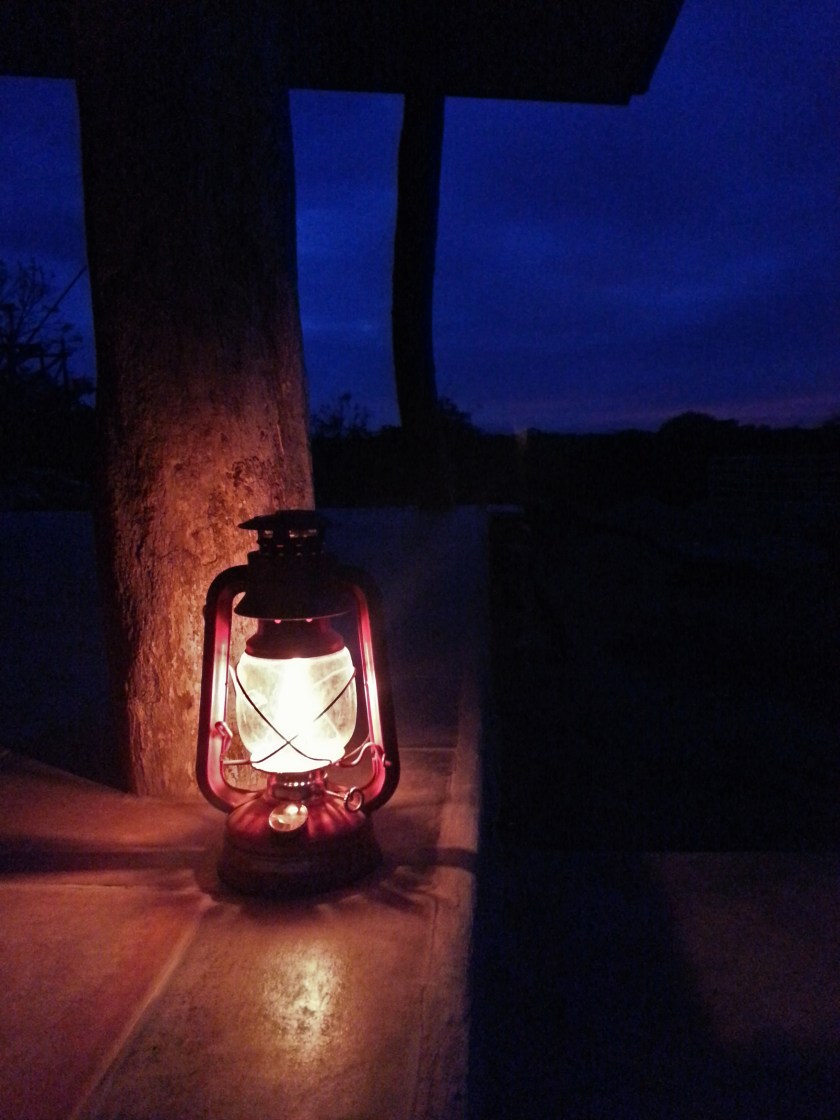 Farm at night. Photo by the husband.