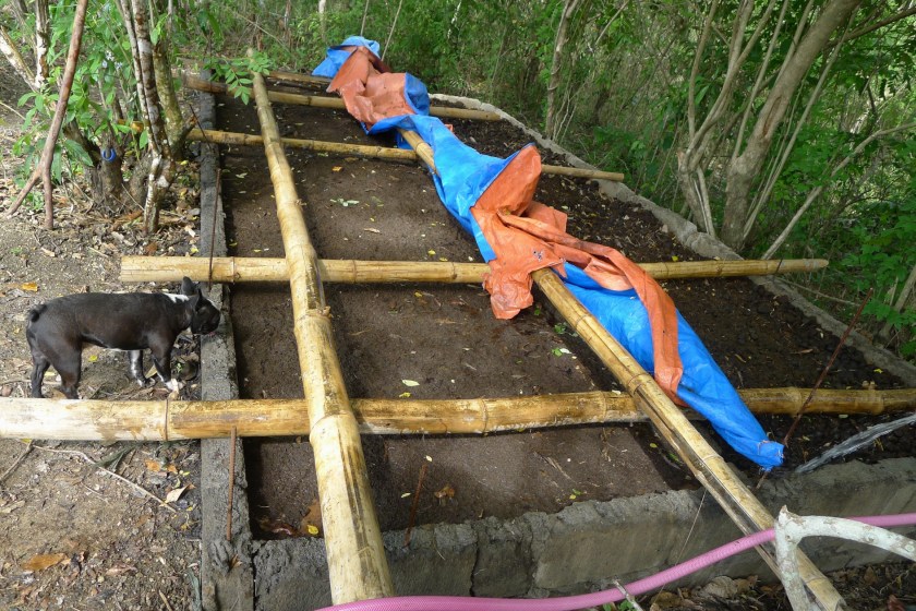 The worm bed. Left side has been processed by the worms, right side has not. I hope to change the tarp cover to something more durable.