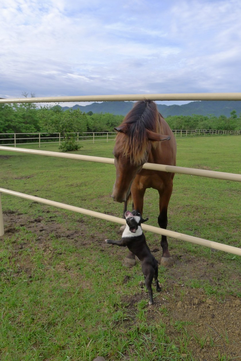 Curious and surprisingly tolerant.