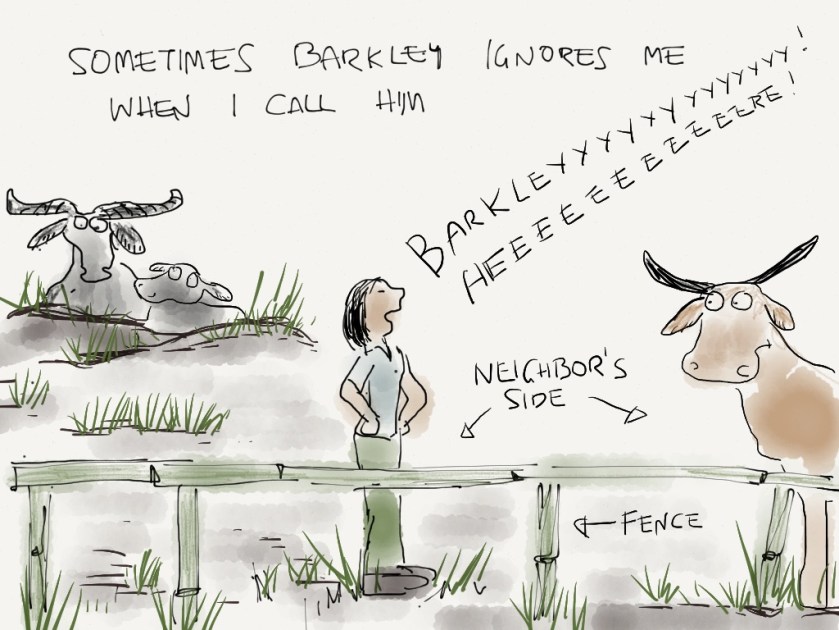 sometimes barkley ignores me when I call him