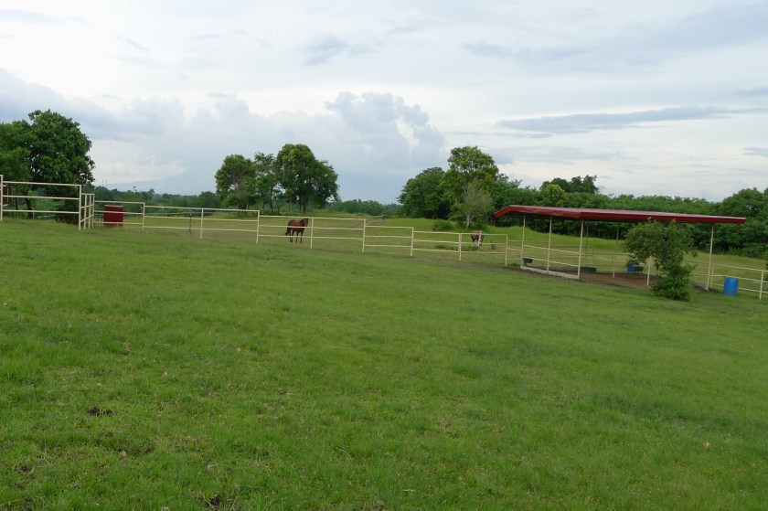 Before - September 2013