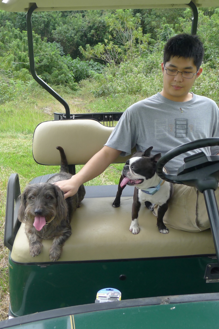 After - December 2013