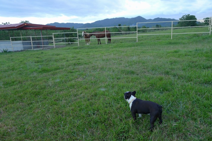 After - December 2013