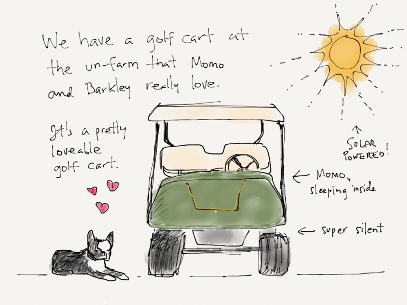 momo barkley golf cart 1