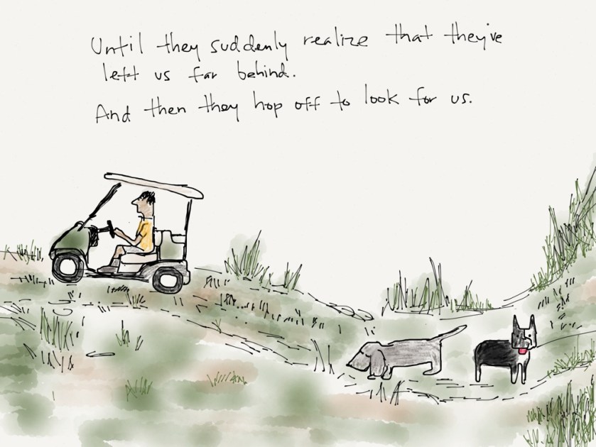 momo barkley golf cart 3