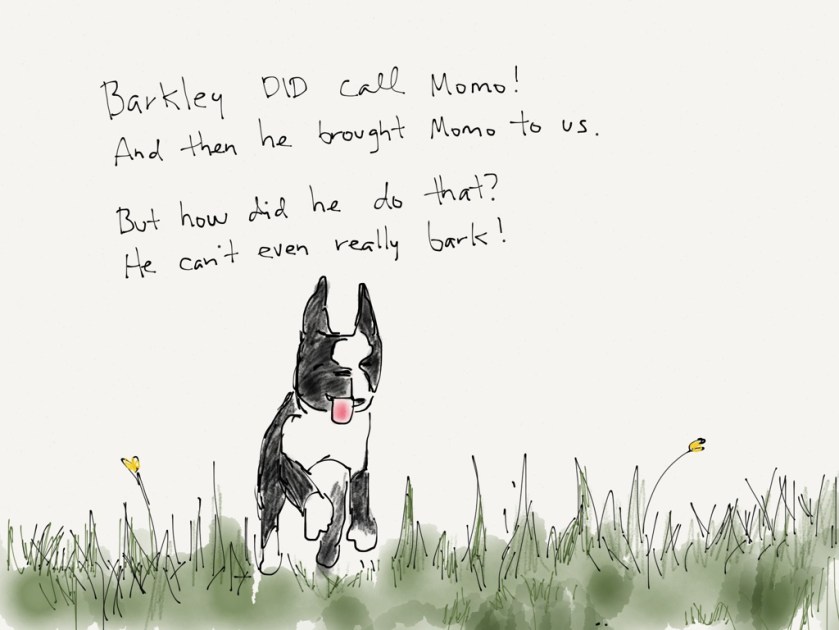 momo barkley golf cart 6