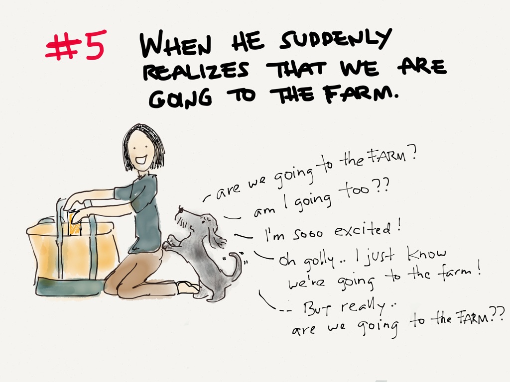 10 Things I Love About&nbsp;Momo