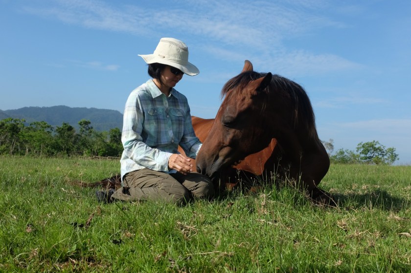 Batman enjoying the morning sun.