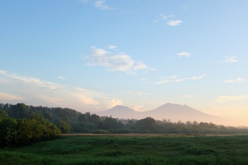 up and about and it's not yet 6 am