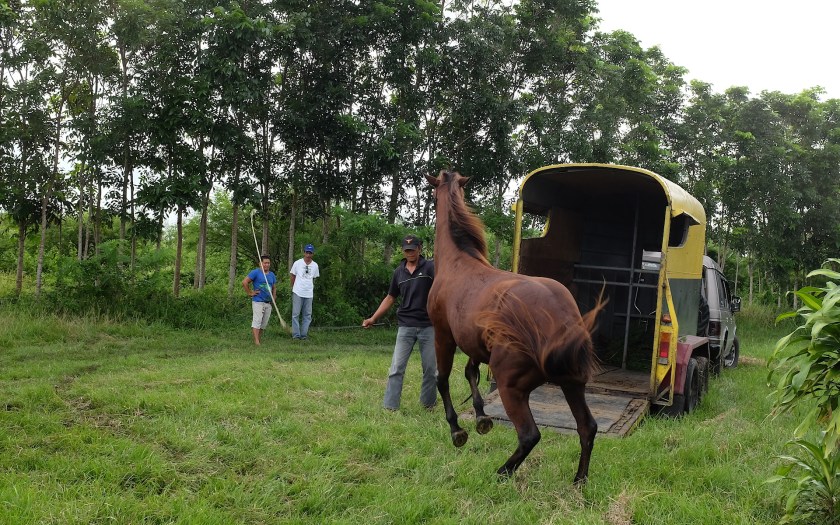 Step 1 Bring in Darwin to load Batman into the trailer