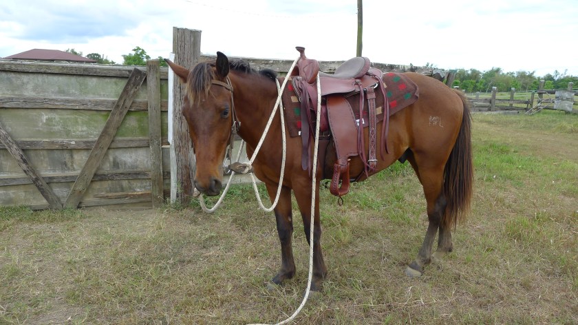 When I first met Batman