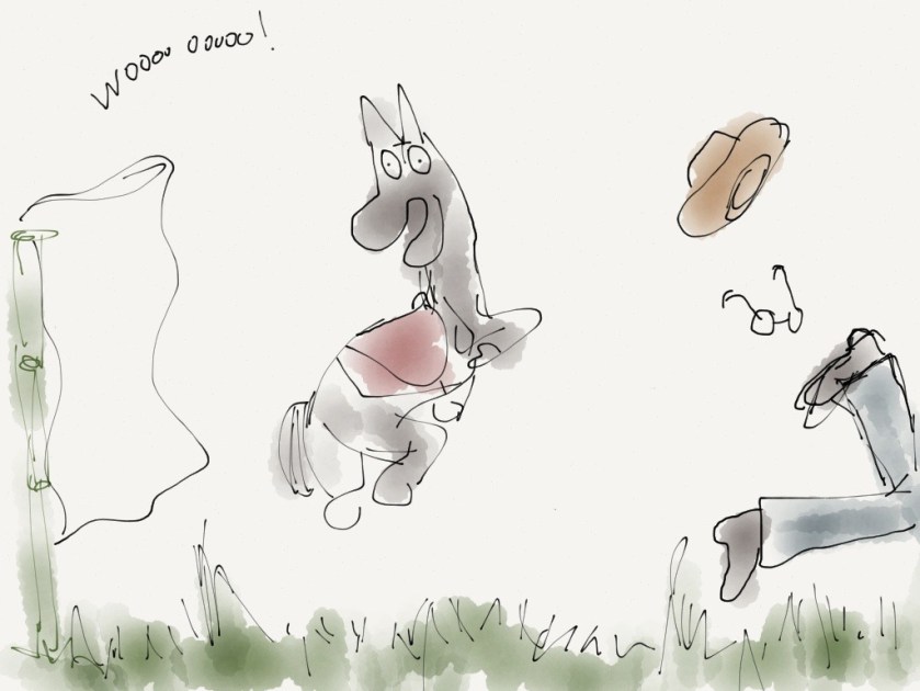 he spooked on the "flag", a sack hanging on a bamboo pole