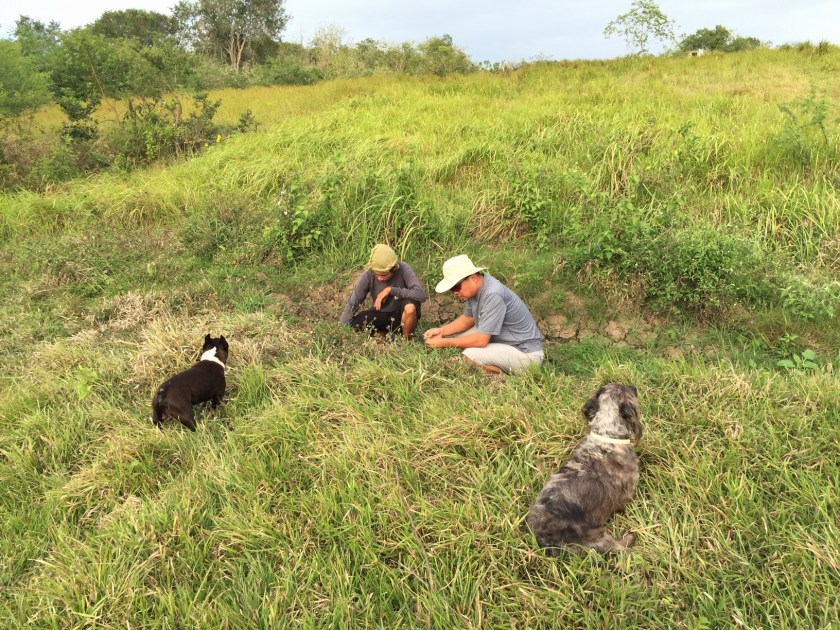 group huddle at the pond site