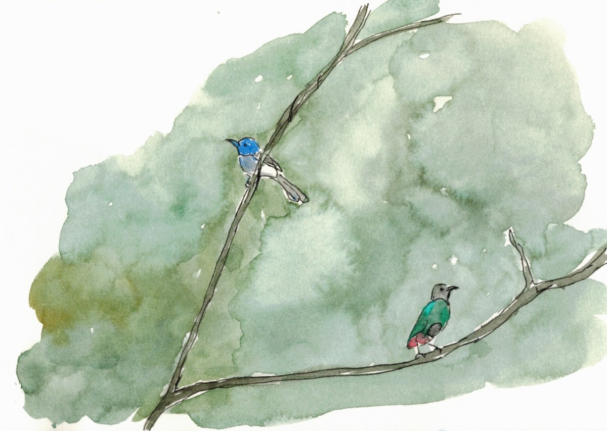 The New Forest&nbsp;Trail