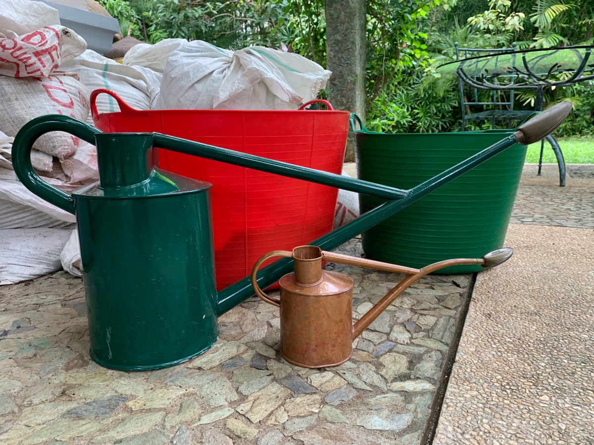 10 Things I Learned from Planting All Those&nbsp;Seeds