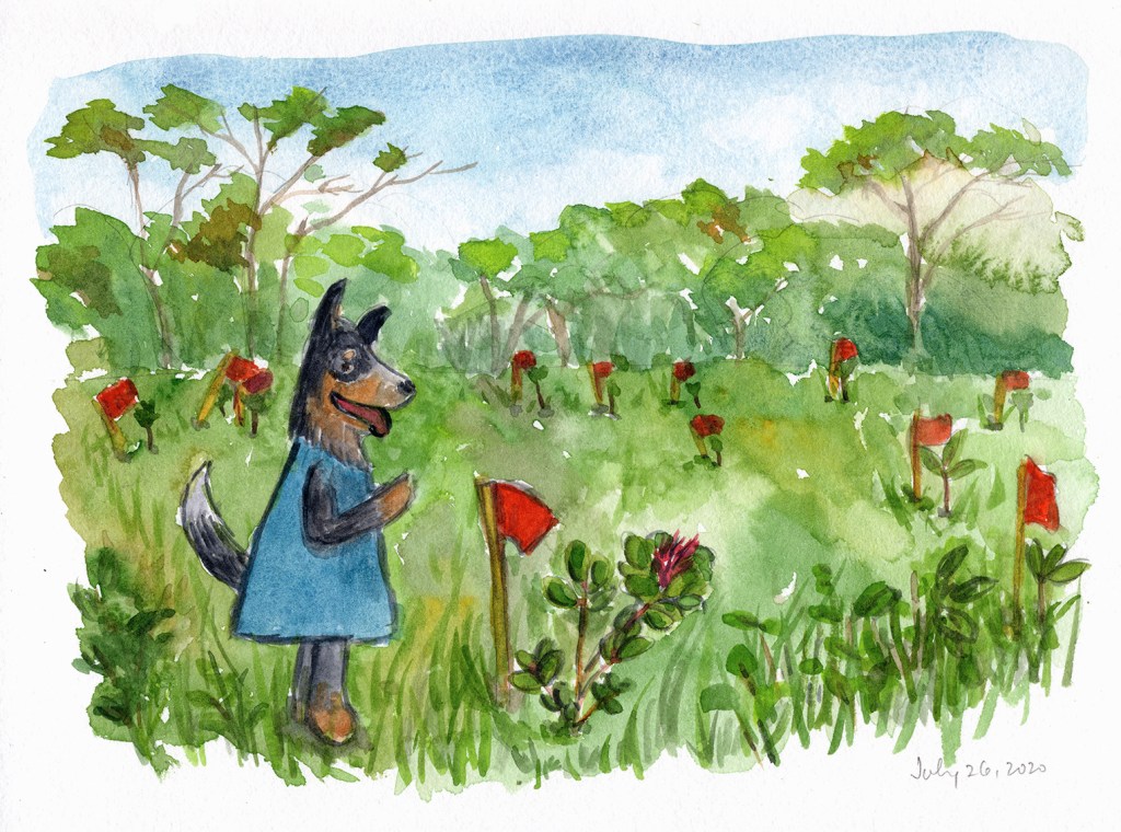 watercolor of Lulu in a dress admiring a small mangkono seedling that is flowering