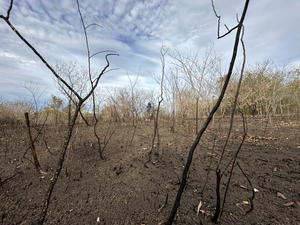 May 2024 – Fire and&nbsp;Rain