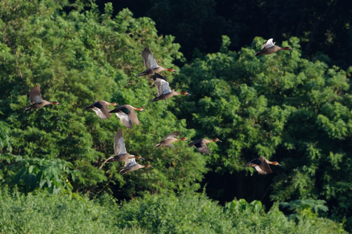 September 2024 – Leveling&nbsp;Up!